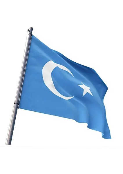 Doğu Türkistan Bayrak Sticker 19 cm