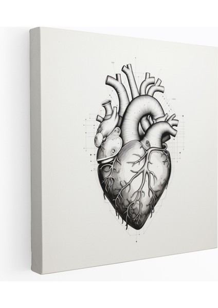 Tıp Anatomik Kalp Kanvas Tablo - Tıp, Muayenehaneler, Kanvas Tablo, Anatomik Kalp, 30X30