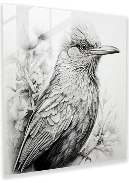 Görkemli Kuş Portresi Cam Baskı Ev ​​dekoru, 30X30