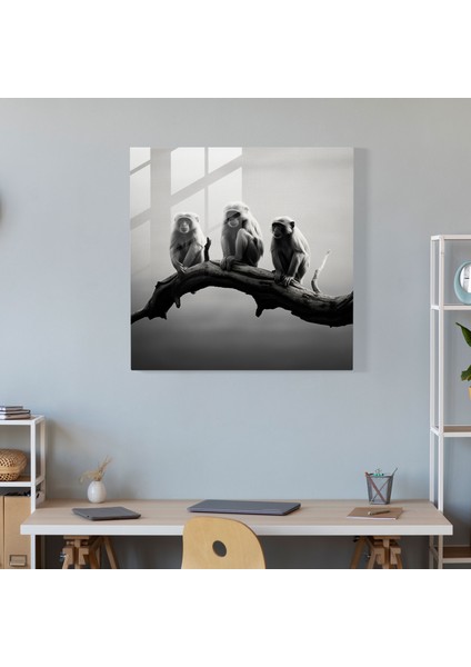3 Maymun Cam Baskı - 3 Maymun, Minimalist Fotoğraf, Cam Baskı, Duvar Dekorasyonu, 30X30