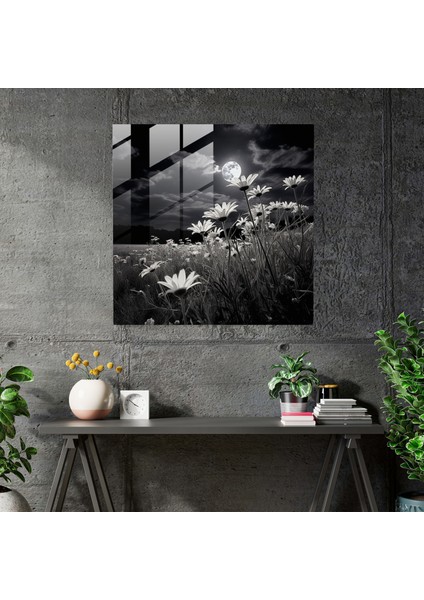 Mehtaplı Çayırlar Cam Baskı - Klasik Siyah Beyaz Fotoğraf Cam Duvar Sanatı - Modern Sanat Eseri, 30X30 fiyatları