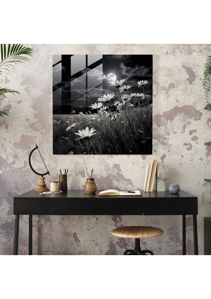 Mehtaplı Çayırlar Cam Baskı - Klasik Siyah Beyaz Fotoğraf Cam Duvar Sanatı - Modern Sanat Eseri, 30X30 modelleri
