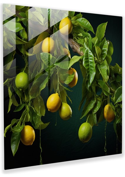 Limon Ağacı Kontrast Cam Baskı - Limon Ağacı, Ev Dekorasyonu, Canlı Renkler, Cam Baskı, 30X30