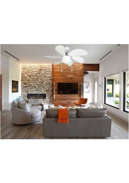 Zincirli Latör Avizeli 6 Kanatlı Metal A'dan G'ye 50-100 Cm 2 Yıl Beyaz 6 A fırsatları