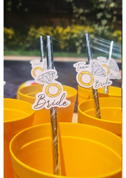 Bride Pipet Seti Tektaş Konsept Bekarlığa Veda Bride Party Süslü Pipet Takımı 5 Li