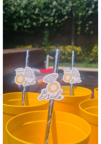 Bride Pipet Seti Tektaş Konsept Bekarlığa Veda Bride Party Süslü Pipet Takımı 5 Li fiyatları