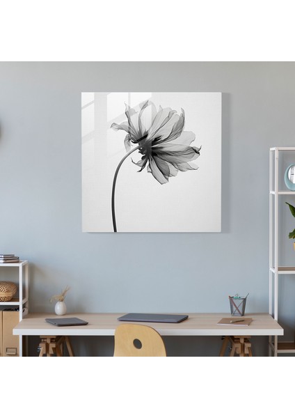 Kuru Çiçek Cam Baskı - Minimalist Tek Renkli Çiçek - Kuru Çiçek, Güçlü Kontrastlar, Tek Renkli Fotoğraf, Modern Sanat, 30X30