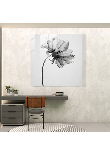 Kuru Çiçek Cam Baskı - Minimalist Tek Renkli Çiçek - Kuru Çiçek, Güçlü Kontrastlar, Tek Renkli Fotoğraf, Modern Sanat, 30X30