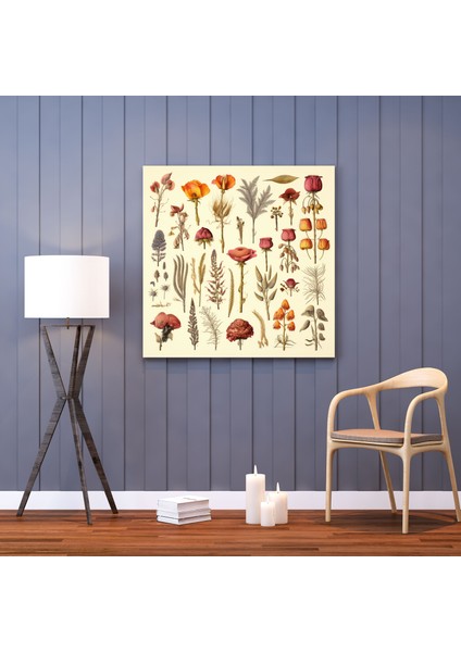 Botanik Kurutulmuş Çiçek Kanvas Tablo - Kuru Çiçek Kanvas Tablo, Doğa Severler, Botanik Illüstrasyon, 30X30