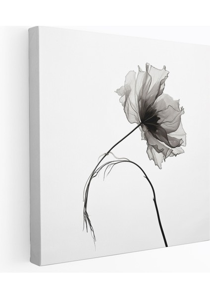 Kuru Çiçek Kanvas Tablo - Kuru Çiçek, Kurutulmuş Çiçek, Yakın Çekim, Minimalist Siyah Beyaz Fotoğraf, 30X30