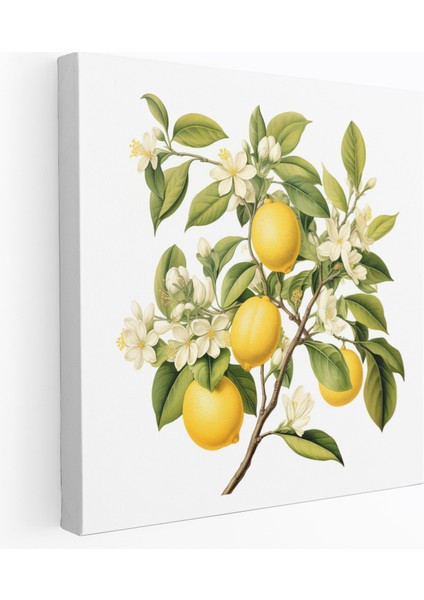 Vintage Limon Ağacı Kanvas Tablo - Limon Ağacı, Duvar Sanatı, Limon Ağacı, Nostaljik Cazibe, 30X30