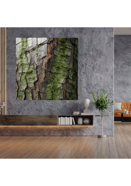 Canlı Çam Ağacı Cam Baskı - Yeşil Çam, Ağaç Kabuğu, Modern Sanat, Gerçekçi Fotoğrafçılık, 30X30 modelleri