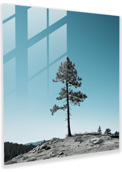 Yeşil Çam Minimalist Cam Baskı - Yeşil Çam, Yeşil Çam Ağacı, Ev Dekorasyonu, Cam Duvar Sanatı, 30X30