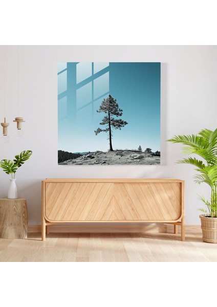 Yeşil Çam Minimalist Cam Baskı - Yeşil Çam, Yeşil Çam Ağacı, Ev Dekorasyonu, Cam Duvar Sanatı, 30X30 fiyatları