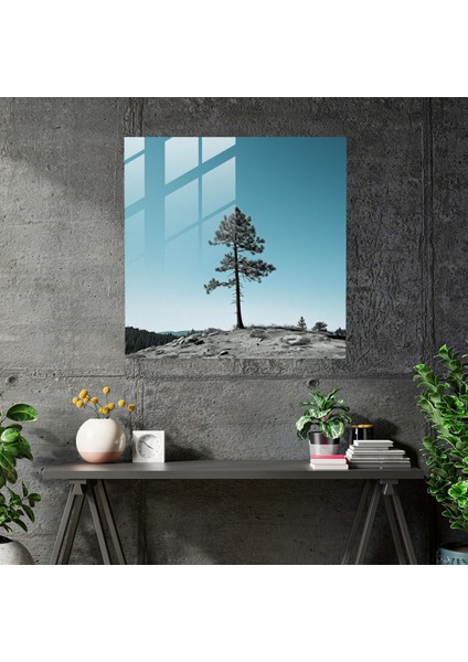 Yeşil Çam Minimalist Cam Baskı - Yeşil Çam, Yeşil Çam Ağacı, Ev Dekorasyonu, Cam Duvar Sanatı, 30X30 modelleri