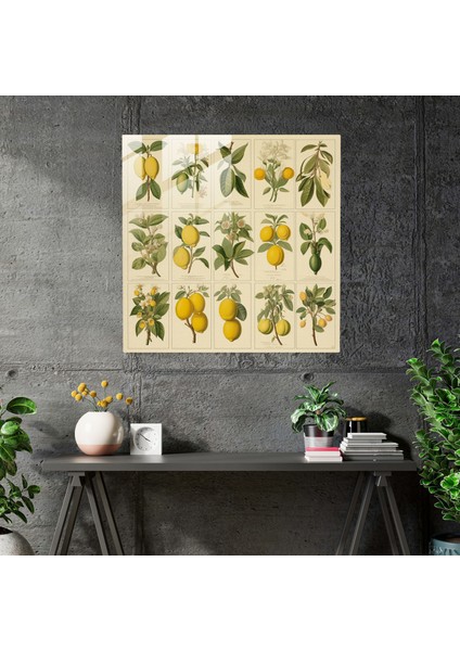 Vintage Limon Ağacı Cam Baskı - Limon Ağacı, Cam Duvar Sanatı, Cam Sanatı, Vintage Baskılar, 30X30 fiyatları