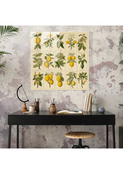 Vintage Limon Ağacı Cam Baskı - Limon Ağacı, Cam Duvar Sanatı, Cam Sanatı, Vintage Baskılar, 30X30 modelleri