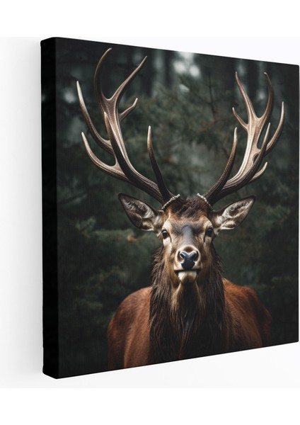 Elk Duvar Dekorasyonu - Görkemli Boynuzlar - Elk, Kanvas Tablo, Elk, Kanvas Tablo, 30X30