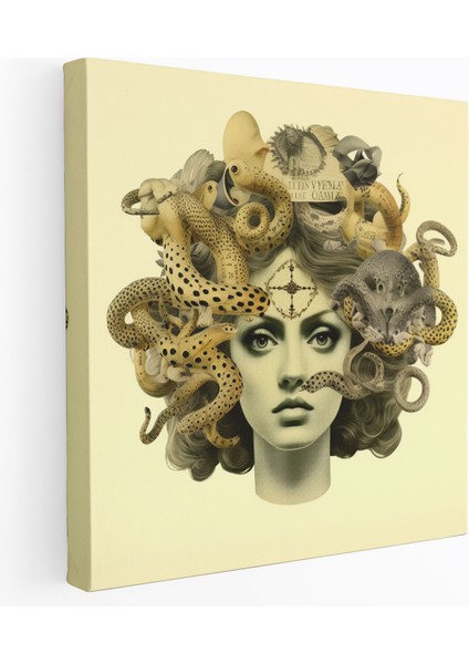 Medusa Kanvas Tablo - Medusa, Duvar Tablosu, Kolaj, Medusa, 30X30