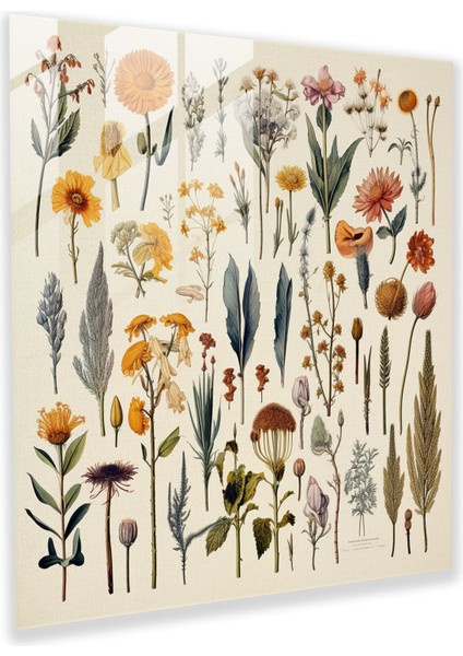 Kuru Çiçek Cam Baskı - Kuru Çiçek, Kuru Çiçek, Cam Sanatı, Duvar Dekorasyonu, 30X30
