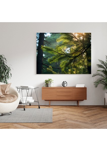 Yeşil Çam Duvar Dekorasyonu - Yeşil Çam, Yeşil Çam Dalları, Kanvas, Güneş Işığı Akışı, 30X30 modelleri