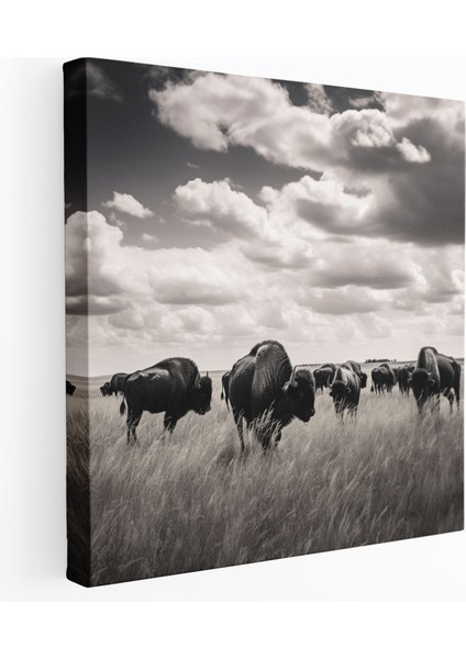 Buffalo Kanvas Tablo - Siyah Beyaz Fotoğraflı Duvar Tablosu - Buffalo, Kanvas Tablo, Nostaljik, Kanvas Tablo, 30X30