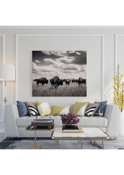 Buffalo Kanvas Tablo - Siyah Beyaz Fotoğraflı Duvar Tablosu - Buffalo, Kanvas Tablo, Nostaljik, Kanvas Tablo, 30X30 fiyatları