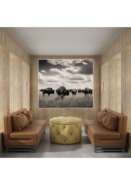 Buffalo Kanvas Tablo - Siyah Beyaz Fotoğraflı Duvar Tablosu - Buffalo, Kanvas Tablo, Nostaljik, Kanvas Tablo, 30X30 modelleri