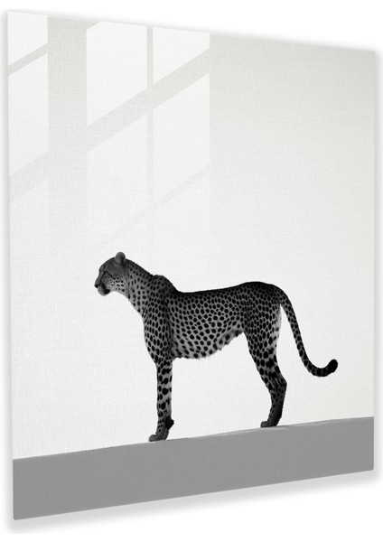 Çita Cam Baskı - Çita, Cam Tablo, Cam Baskı, Siluet, 30X30