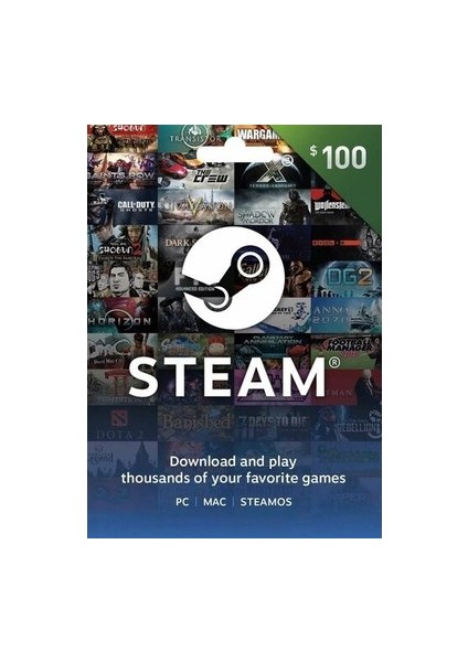 Steam Gift Card 100 USD Turkey