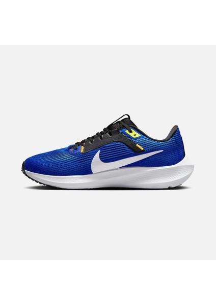 Air Zoom Pegasus 40 Se Erkek Koşu Ayakkabısı