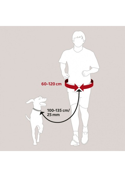 Köpek Koşu Yürüme Kemeri ve Gezdirme Kayışı 13 fiyatları