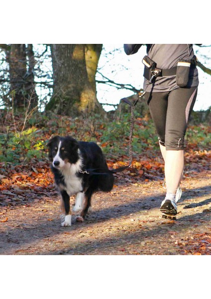 Köpek Koşu Yürüme Kemeri ve Gezdirme Kayışı 13 modelleri