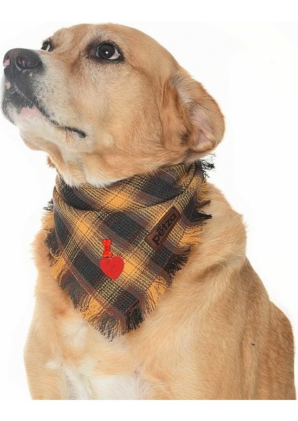 Köpek Bandana / Shelob