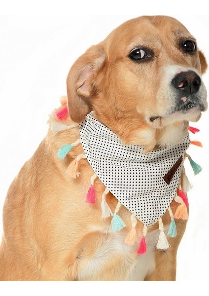 Köpek Bandana / Lorien Medium