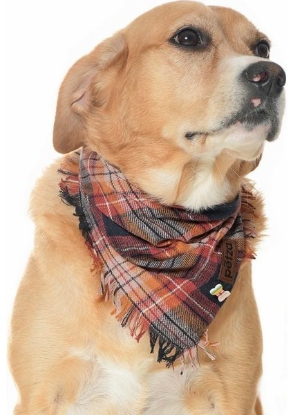 Köpek Bandana / Grima Medium