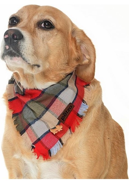 Köpek Bandana / Eomer Medium