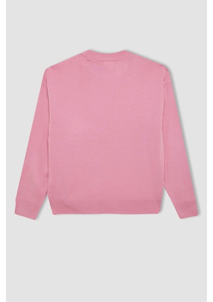 Kız Çocuk Açık Pembe Standart Fit Bisiklet Yaka Basic Düz Triko Kazak C6902A824AU