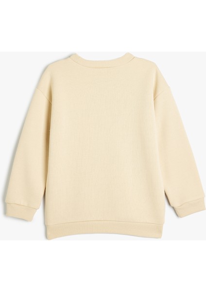 Basic Sweatshirt Uzun Kollu Bisiklet Yaka fiyatları