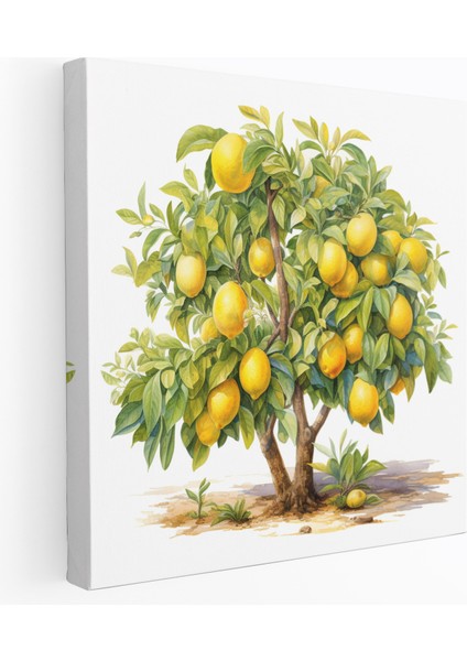 Limon Ağacı Kanvas Tablo - Suluboya Tablo - Limon Ağacı, Suluboya Tablo, Kanvas Tablo, Canlı, 30X30