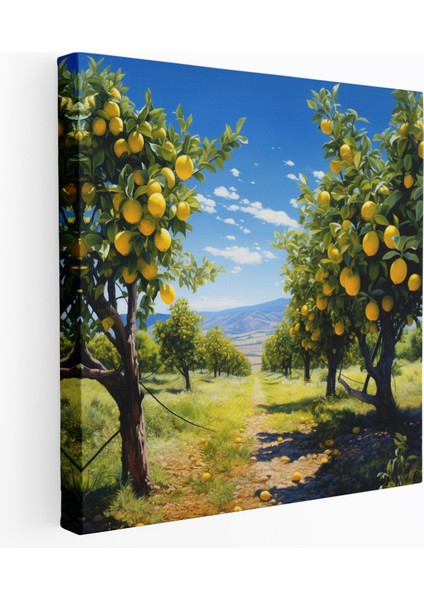 Limon Ağacı Duvar Süslemesi - Limon Ağacı, Limon Ağacı Bahçesi, Limon Ağacı, Kanvas Tablo, 50 x 50 cm