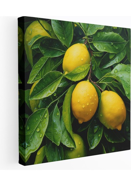 Limon Ağacı Kanvas Tablo - Limon Ağacı, Estetik Çekici, Yakın Çekim, Gerçekçi Yağlıboya Tablo, 30 x 30 cm