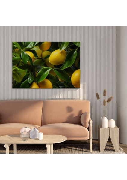 Limon Ağacı Kanvas Tablo - Limon Ağacı, Limon Ağacı Dalları, Doğal Güzellik, Duvar Dekorasyonu, 50 x 50 cm