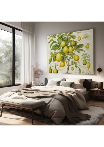 Limon Ağacı Duvar Sanatı - Limon Ağacı, Eğitim Aracı, Ev Dekorasyonu, Botanik Anatomi, 30 x 30 cm