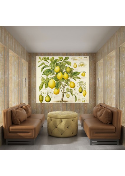 Limon Ağacı Duvar Sanatı - Limon Ağacı, Eğitim Aracı, Ev Dekorasyonu, Botanik Anatomi, 30 x 30 cm
