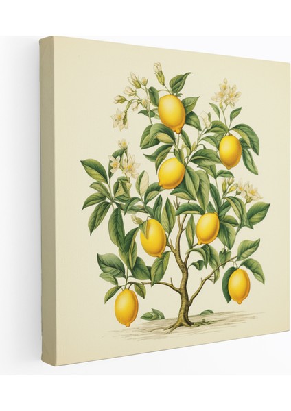 Vintage Limon Ağacı Duvar Sanatı - Limon Ağacı, Kanvas, Sofistike, Ev Dekorasyonu, 30 x 30 cm