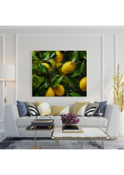 Limon Ağacı Kanvas Tablo - Limon Ağacı, Limon Ağacı Dalları, Doğal Güzellik, Duvar Dekorasyonu, 30X30