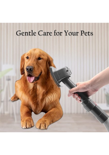 Köpek Evcil Hayvan Fırçası Kablosuz Dyson V7 V8 V10 V11 Elektrikli Süpürge Ev Aletleri Parçaları Aksesuarları Bakım Brus (Yurt Dışından) indirimleri