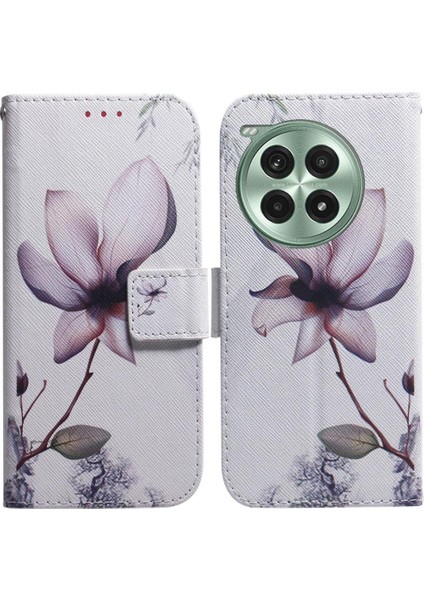Oneplus Ace 3 Pro Için Flip Case Pu Deri Kart Yuvaları Boyalı Cüzdan (Yurt Dışından)