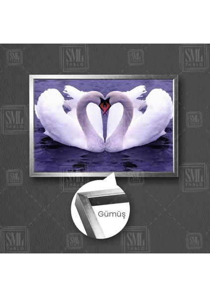 Gölde Kuğular Çift Aşk Love Hayvan Çerçeveli Yatay Kanvas Tablo